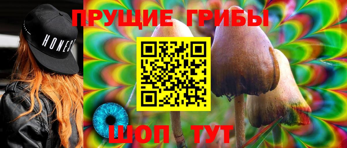 Галлюциногенные грибы прущие грибы  Вход с VPN  дарнет шоп  Тында 