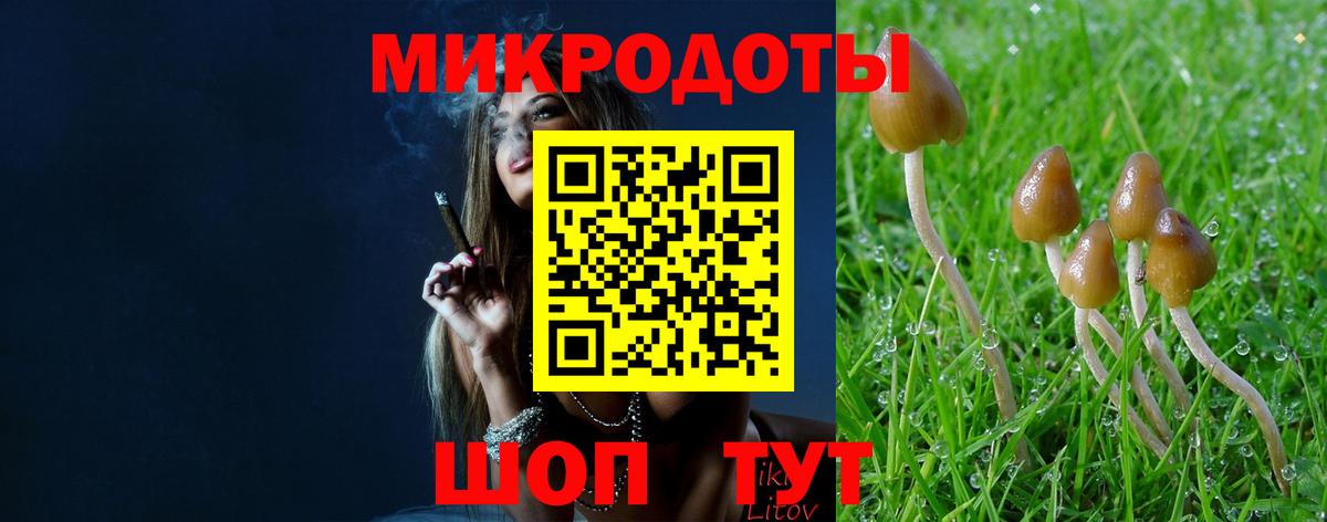 Галлюциногенные грибы Cubensis Тында